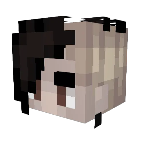 policepolice Minecraft avatar head, 3D render