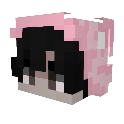 polight Minecraft avatar head, 3D render