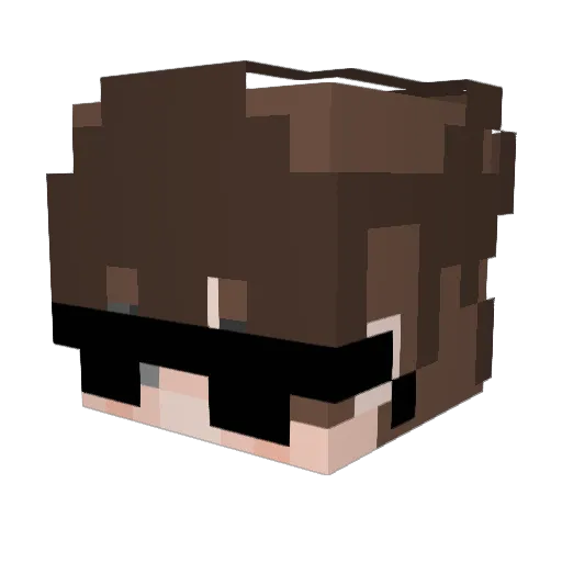 polik1709 Minecraft avatar head, 3D render