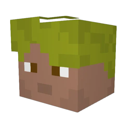 polish_62 Minecraft avatar head, 3D render