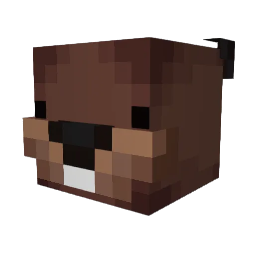 polishbeaver55 Minecraft avatar head, 3D render