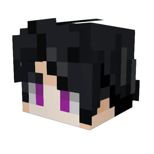 poliszek_ Minecraft avatar head, 3D render