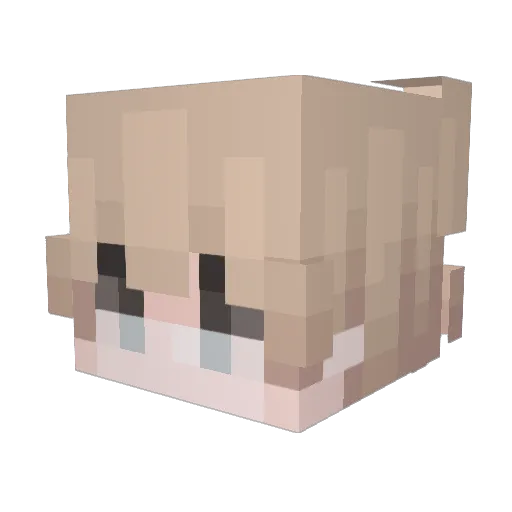 pollandfishh Minecraft avatar head, 3D render