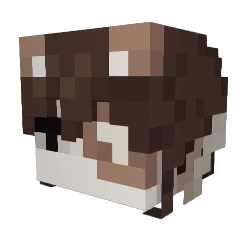 pollenpvtch Minecraft avatar head, 3D render