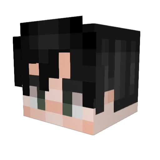 pollenx Minecraft avatar head, 3D render