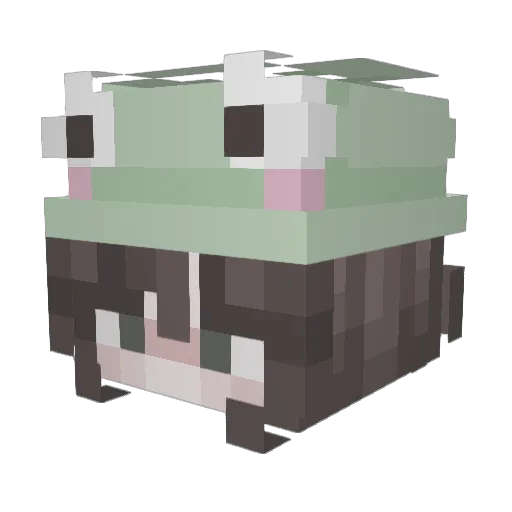 pollydolly2 Minecraft avatar head, 3D render