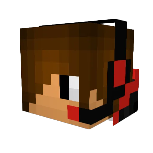 polo123polo124 Minecraft avatar head, 3D render