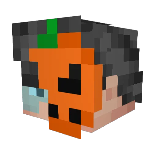 polochonix Minecraft avatar head, 3D render