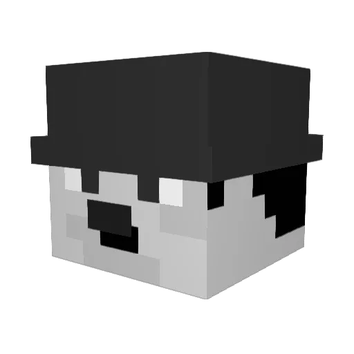 polonorte33 Minecraft avatar head, 3D render
