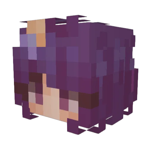 polopi9 Minecraft avatar head, 3D render