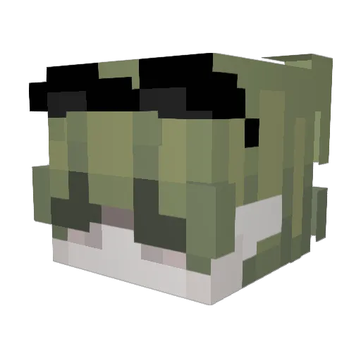 poloska_TW Minecraft avatar head, 3D render