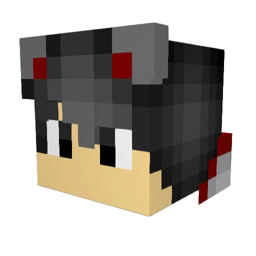 polpo21 Minecraft avatar head, 3D render