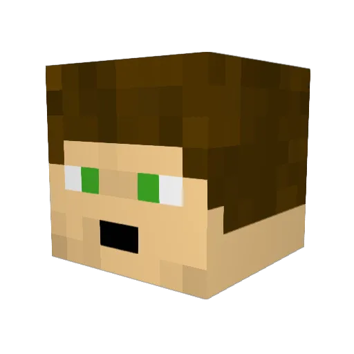 polska2014 Minecraft avatar head, 3D render