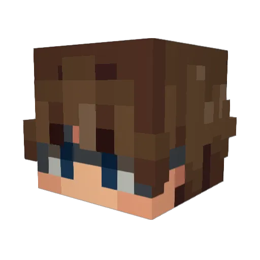 polytopus Minecraft avatar head, 3D render