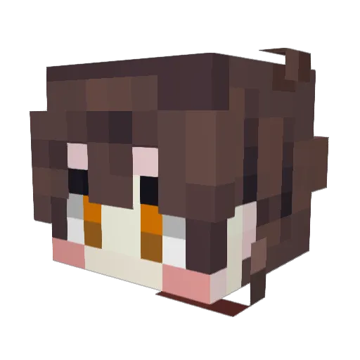 poma6846 Minecraft avatar head, 3D render