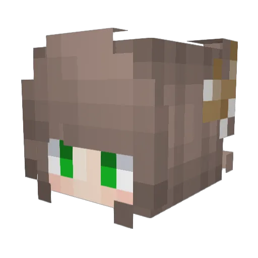 pome8 Minecraft avatar head, 3D render