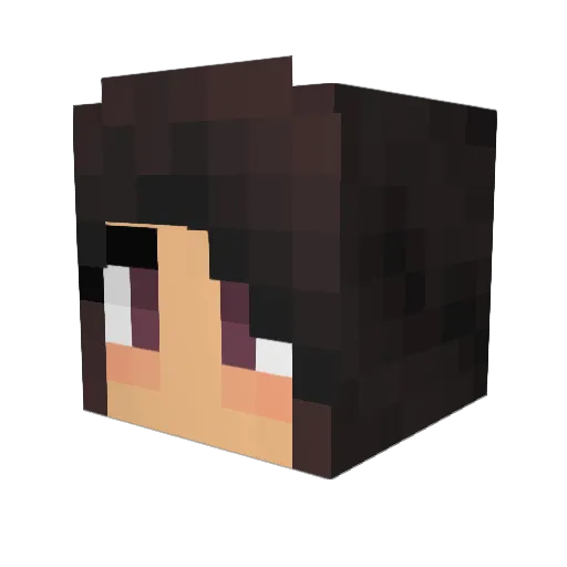 pomegranatte Minecraft avatar head, 3D render