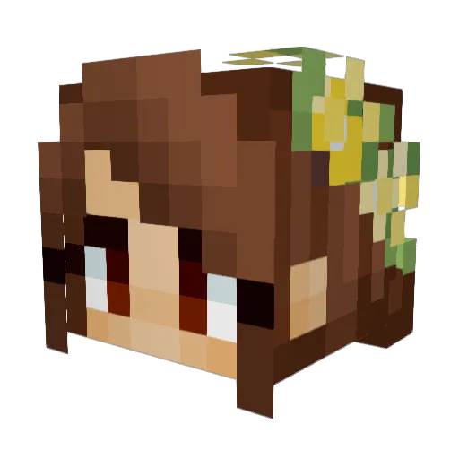 pominim Minecraft avatar head, 3D render