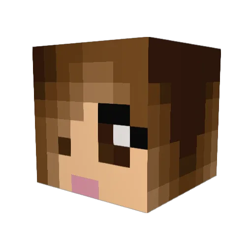 pomis Minecraft avatar head, 3D render