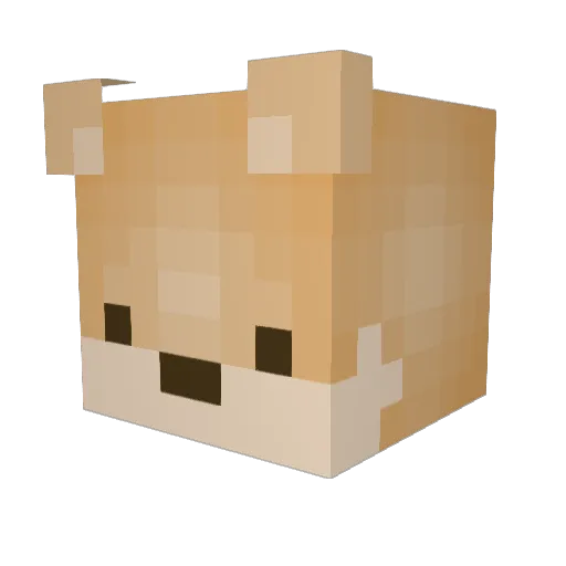 pomlover12 Minecraft avatar head, 3D render