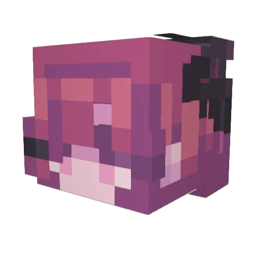 pomoki Minecraft avatar head, 3D render