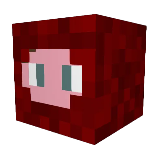 pomploen Minecraft avatar head, 3D render