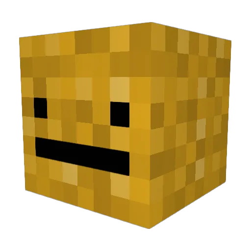 pompom4321fish Minecraft avatar head, 3D render