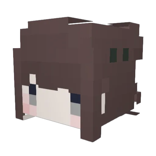 pompom851 Minecraft avatar head, 3D render