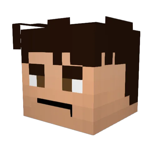ponch247 Minecraft avatar head, 3D render