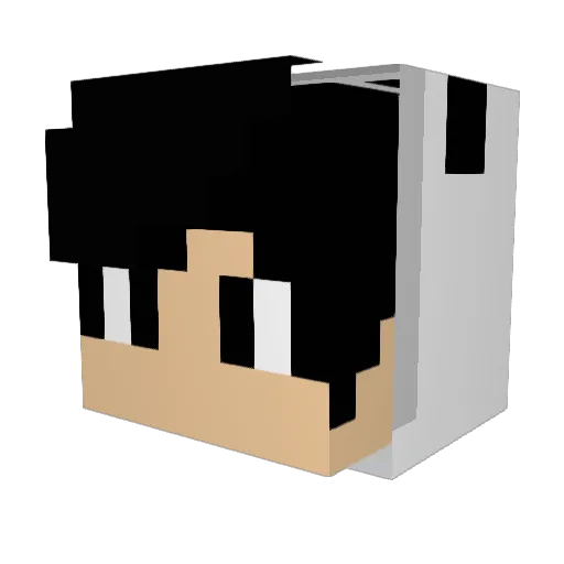 ponchan_0606 Minecraft avatar head, 3D render