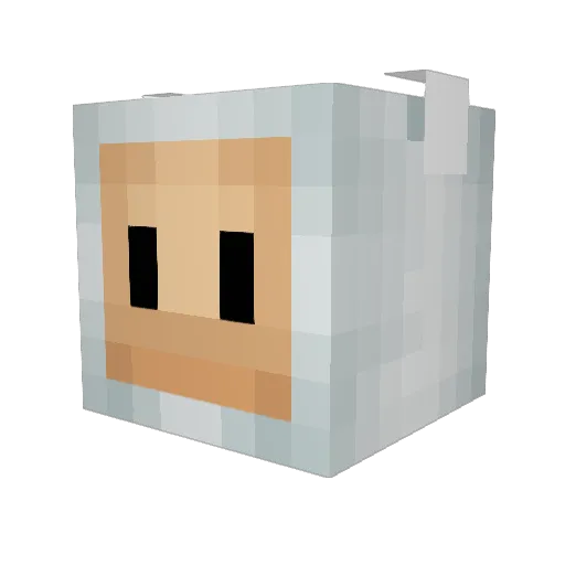 pondav Minecraft avatar head, 3D render