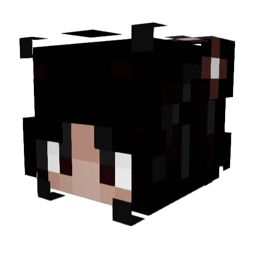 pondelie Minecraft avatar head, 3D render