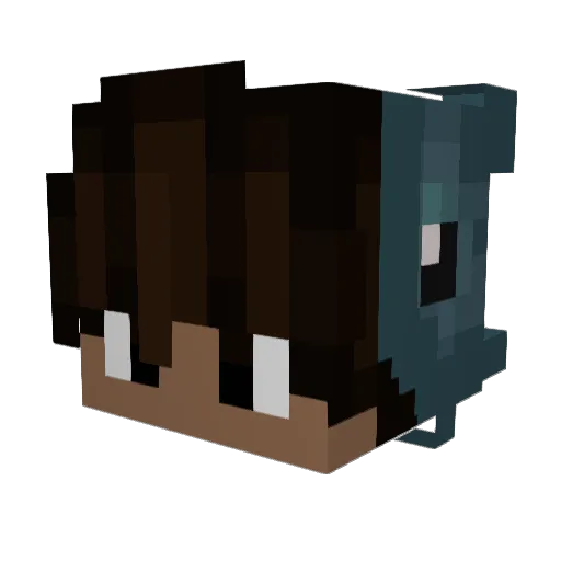 pondunderthesun Minecraft avatar head, 3D render