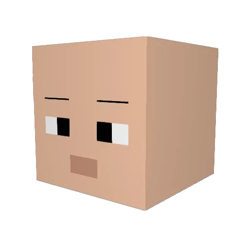 ponite2525 Minecraft avatar head, 3D render