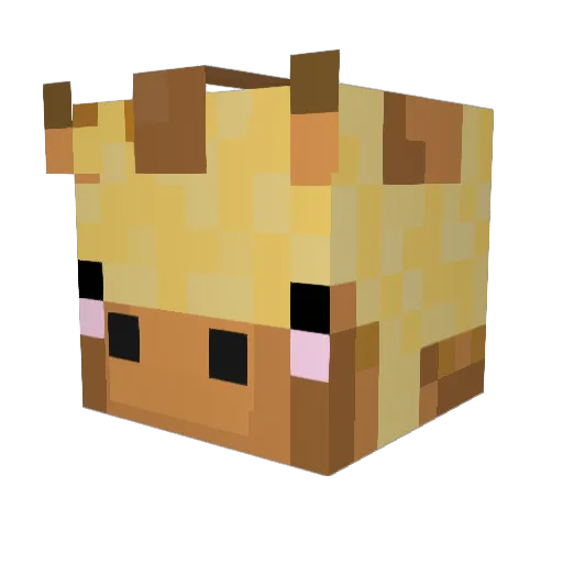 ponk_fonk Minecraft avatar head, 3D render