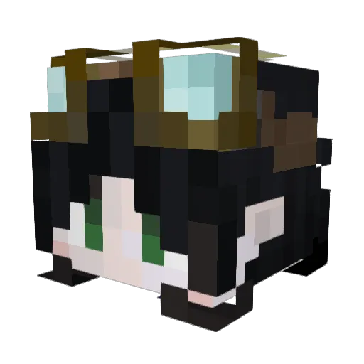 ponkaas Minecraft avatar head, 3D render
