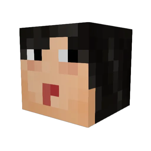 ponkickies Minecraft avatar head, 3D render