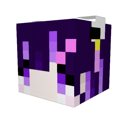 ponkotsu66 Minecraft avatar head, 3D render