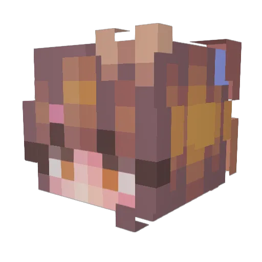 ponkzie Minecraft avatar head, 3D render