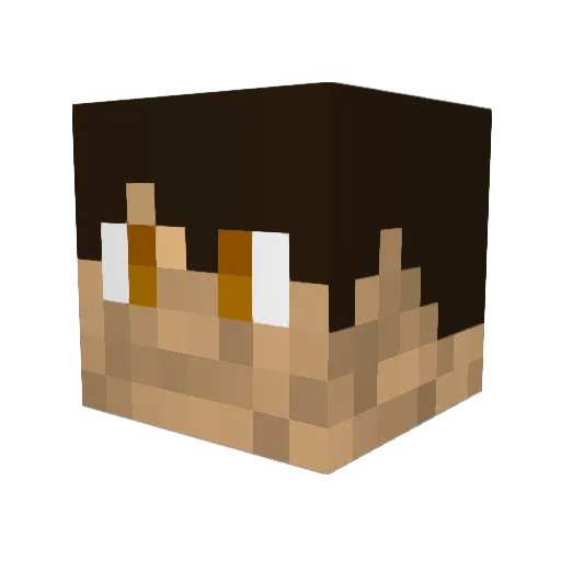 ponpoms68 Minecraft avatar head, 3D render