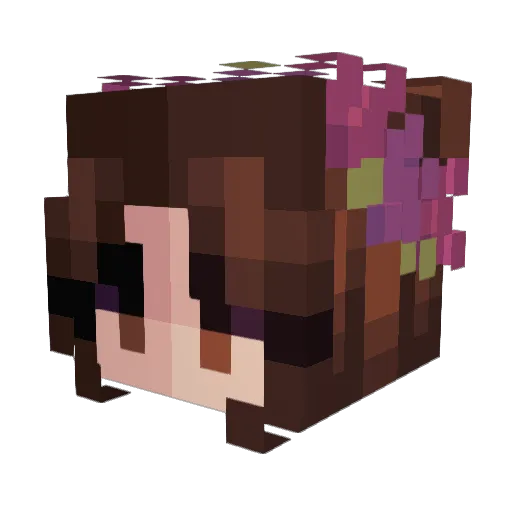 ponrs Minecraft avatar head, 3D render