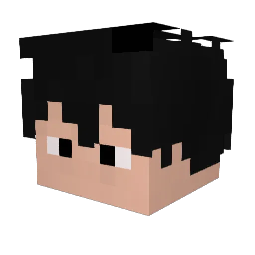 ponto742 Minecraft avatar head, 3D render