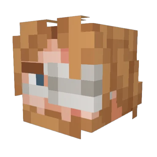 pontolif Minecraft avatar head, 3D render