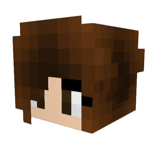 pony111 Minecraft avatar head, 3D render