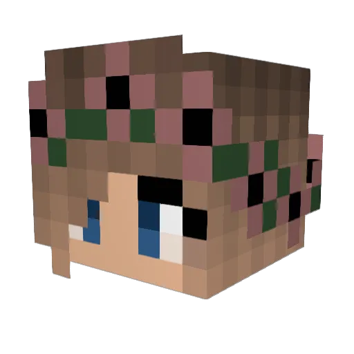 pony2016 Minecraft avatar head, 3D render