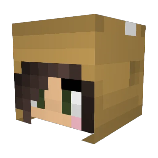 ponydudekisses Minecraft avatar head, 3D render