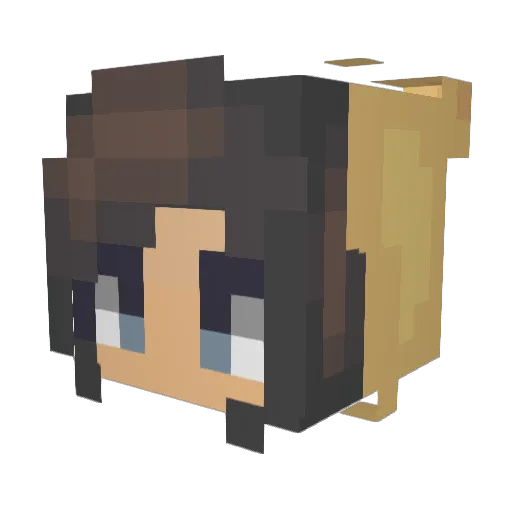 ponyexprees Minecraft avatar head, 3D render