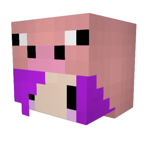 ponyfuhrer Minecraft avatar head, 3D render