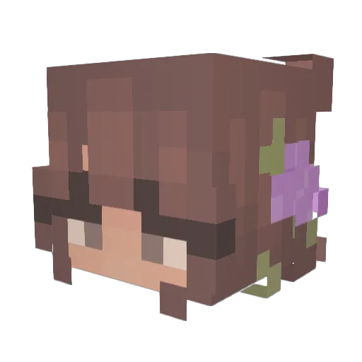 ponygamer1 Minecraft avatar head, 3D render