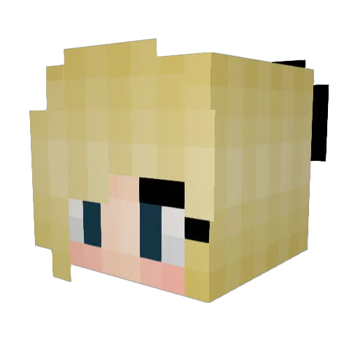 ponz1156 Minecraft avatar head, 3D render
